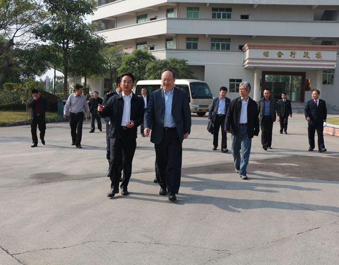 1533271983455181.jpg 2.jpg