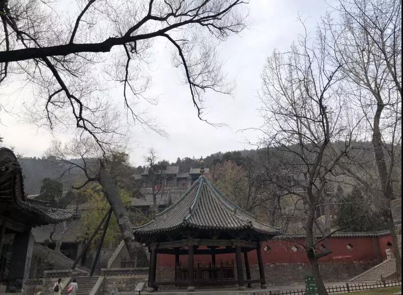 1550126358433302.jpg 7.jpg